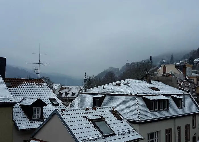 Altstadtblick Heidelberg