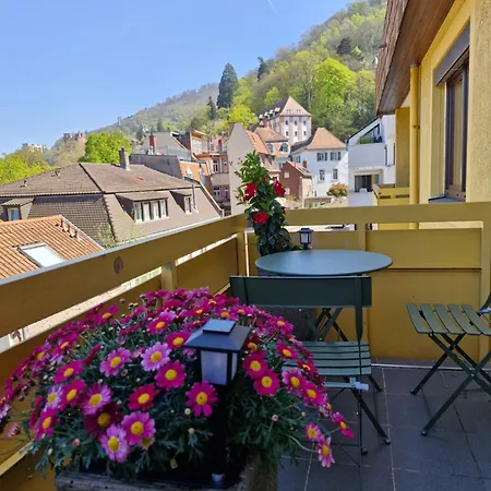 Altstadtblick Heidelberg
