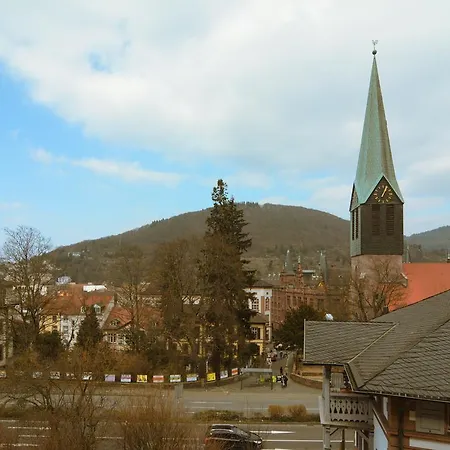 Altstadtblick Heidelberg