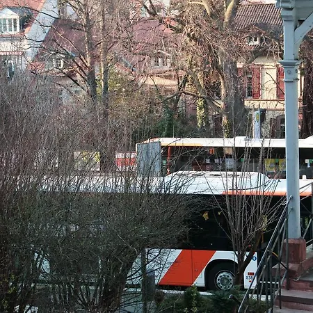 Altstadtblick Heidelberg