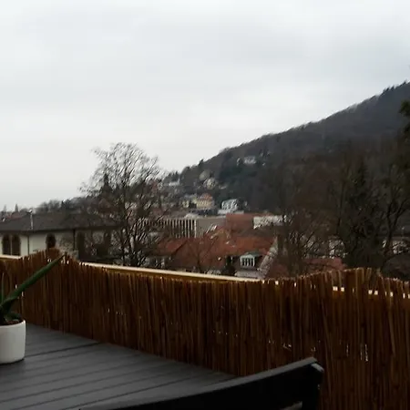 Altstadtblick Heidelberg