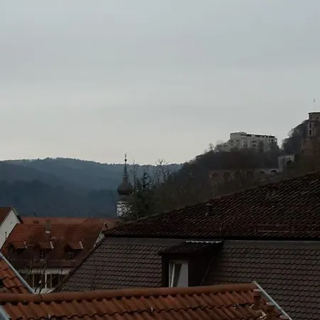 Apartment Altstadtblick *