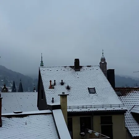 Altstadtblick * ハイデルベルク