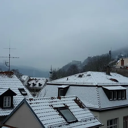 Altstadtblick ハイデルベルク