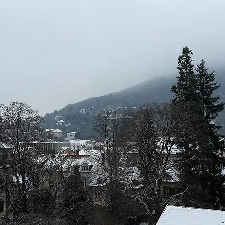 Apartment Altstadtblick *